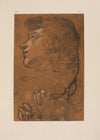 Drawing of head in profile