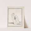 Drawings faithfully copied from nature at Naples Pl.06 by Friedrich Rehberg