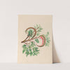 Drawings of tropical flowers and fruits, from South America Pl.09 (1830) by Charles Empson