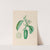 Drawings of tropical flowers and fruits, from South America Pl.10 (1830) by Charles Empson