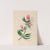 Drawings of tropical flowers and fruits, from South America Pl.14 (1830) by Charles Empson