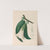 Drawings of tropical flowers and fruits, from South America Pl.26 (1830) by Charles Empson