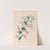 Drawings of tropical flowers and fruits, from South America Pl.27 (1830) by Charles Empson