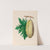 Drawings of tropical flowers and fruits, from South America Pl.35 (1830) by Charles Empson