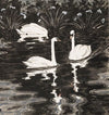 Drei Schwäne auf dunklem Gewässer (1895)