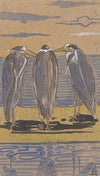 Drie reigers op een dijk