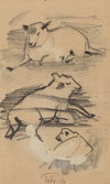 Drie studies van een schaap
