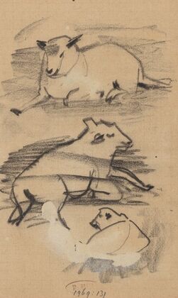 Drie studies van een schaap