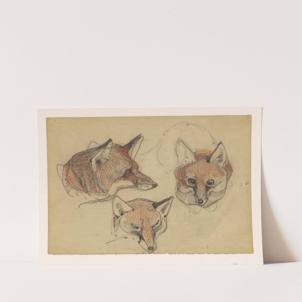 Drie vossenkoppen (1866) by Bernard Willem Wierink