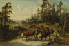 Driving Cattle in Småland