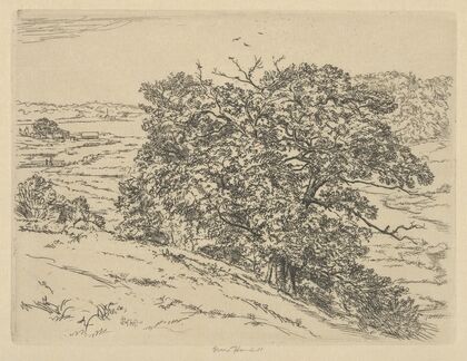 Dromore Oaks (1900-1925)