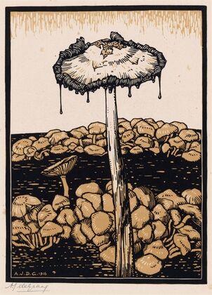 Druipende paddenstoel
