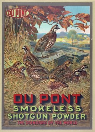 Du Pont smokeless shotgun powder – the standard of the world (1913)