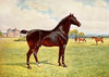 Dual Champion Pony Stallion, Berkeley Model