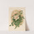 Duchesse de Vallombrosa Roses by Thaddeus Welch