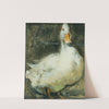 Duck by Alexander Koester