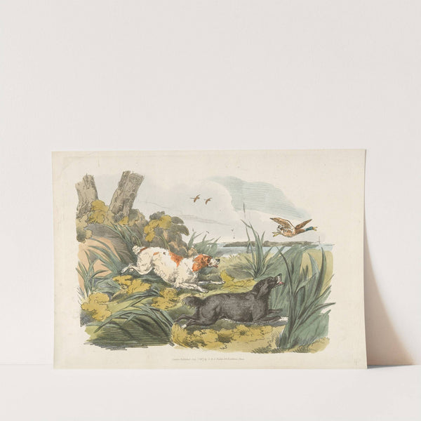 Duck fowling (1817-1818) by Henry Thomas Alken