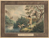 Duck Shooting