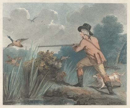 Duck Shooting (1790)