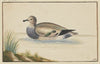 Duck to the left