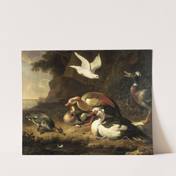 Ducks (c. 1675 - c. 1680) by Melchior d'''Hondecoeter