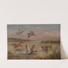 Ducks by Edgar Hunt