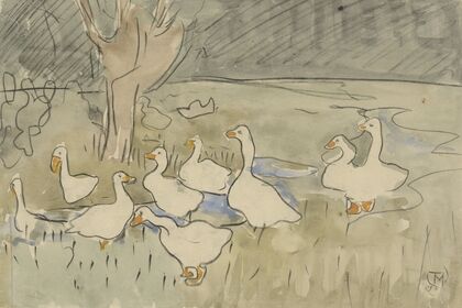 Ducks