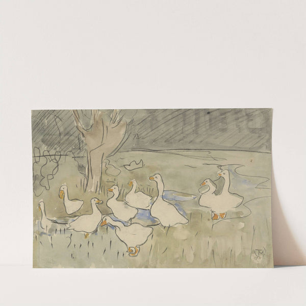 Ducks by Theo van Hoytema