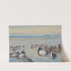 Ducks Along The Shoreline (1921) by Archibald Thorburn