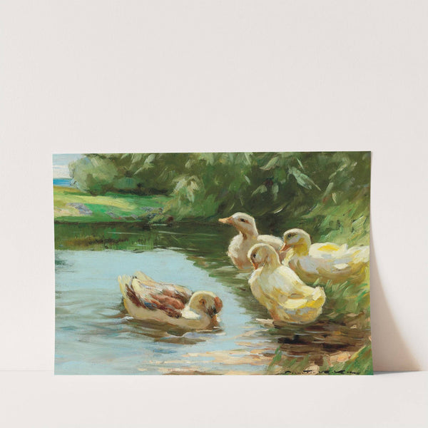 Ducks in the water by Demeter Koko