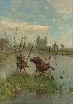 Ducks’ Nests