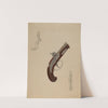 Dueling Pistol by Richard Whitaker