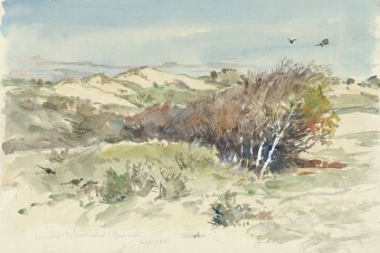 Duinlandschap tussen Bloemendaal en IJmuiden