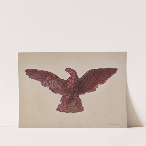 Eagle by David Ramage