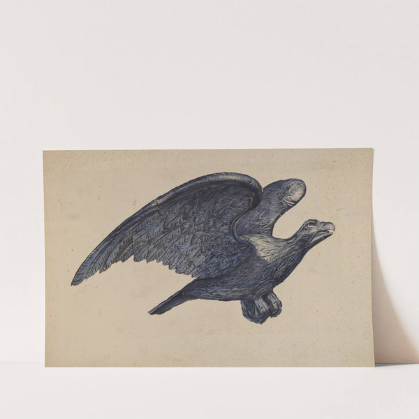 Eagle by Elisabeth Fulda