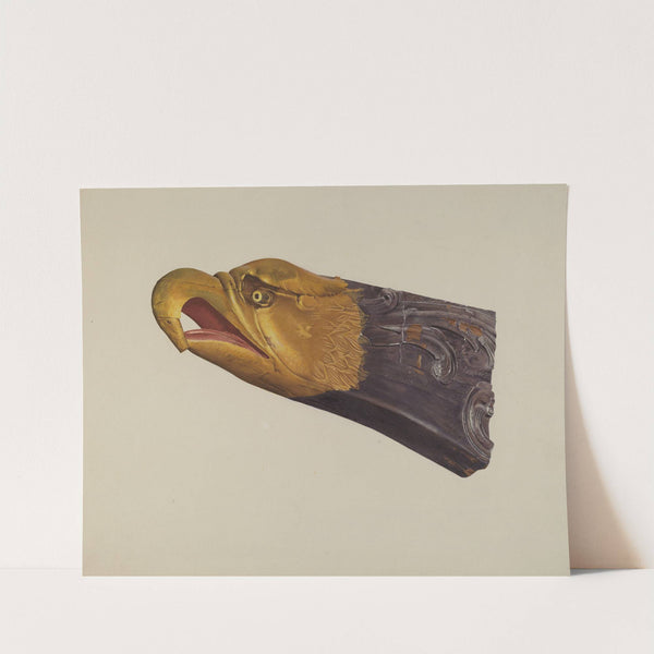 Eagle by Frances Cohen