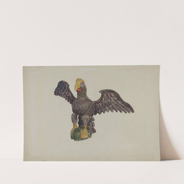 Eagle by Alice Domey