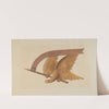 Eagle by American 20th Century