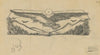 Eagle above the Country