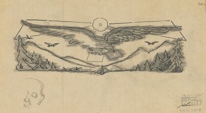 Eagle above the Country