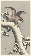 Eagle on snowy pine tree