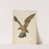 Eagle &#8211; Pilot House Ornament (c. 1938) by Molly Bodenstein