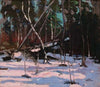 Early Snow, Algonquin Park