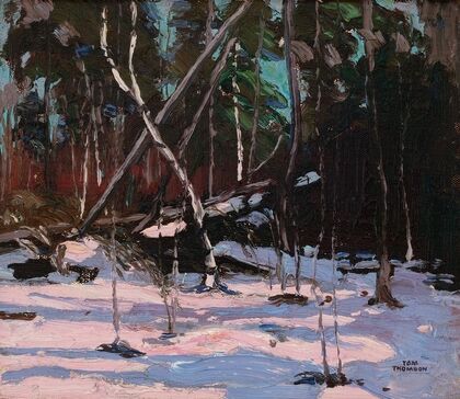Early Snow, Algonquin Park