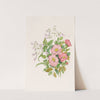 Early Wild Rose, Pentstèmon Beard-Tongue by Agnes Fitzgibbon