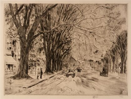 Easthampton Elms in May (1925)