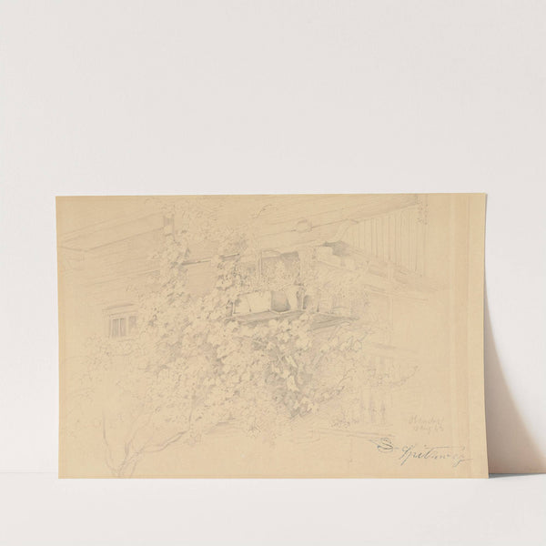 Ecke eines Bauernhauses mit rankendem Weinlaub und Blumentöpfen (1842) by Carl Spitzweg