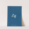 Ectocarpus sphaerophorus by Anna Atkins