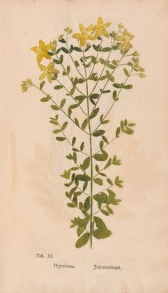 Ectypa vegetabilium Pl.011 (1760-1764) — size preview