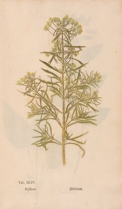 Ectypa vegetabilium Pl.044 (1760-1764)